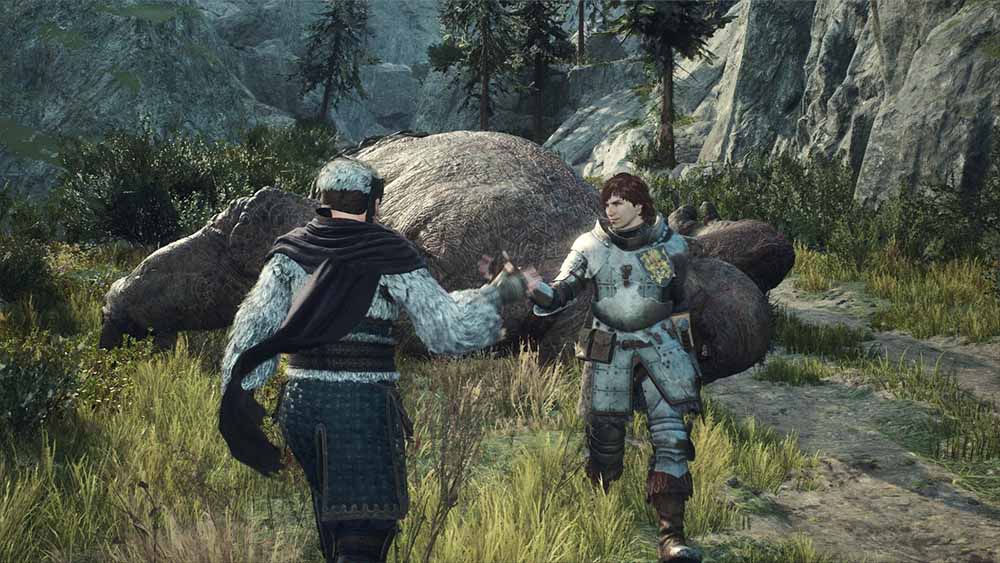 Dragon's Dogma 2 è anche questo Dragon's Dogma 2 è anche questo